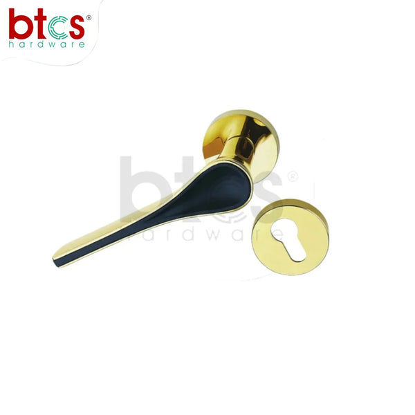 Rozette Door Locks