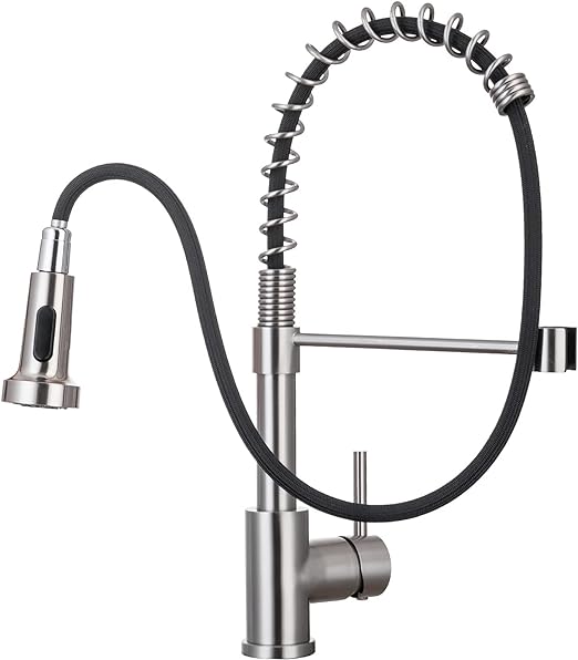 Spring Kitchen Faucet with Pull Down Sprayer