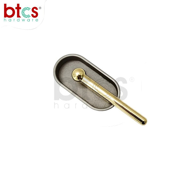  Flush Handle 