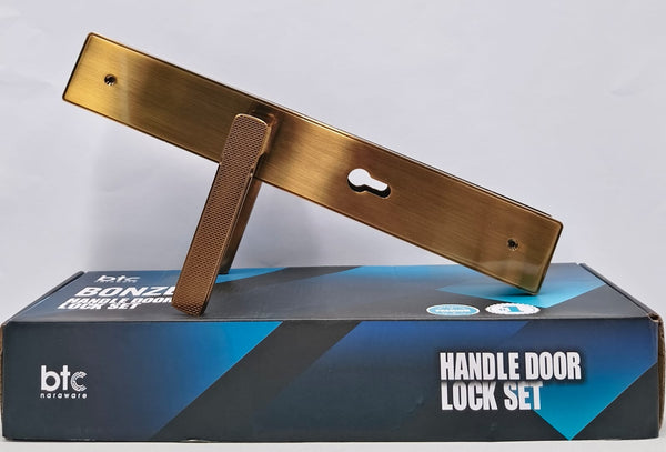 XXl06-AE Handle Door Lock