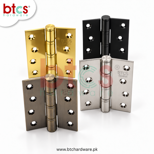 BTCS SS DOOR HINGES